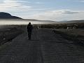 Coipasa Salt Flats (6)